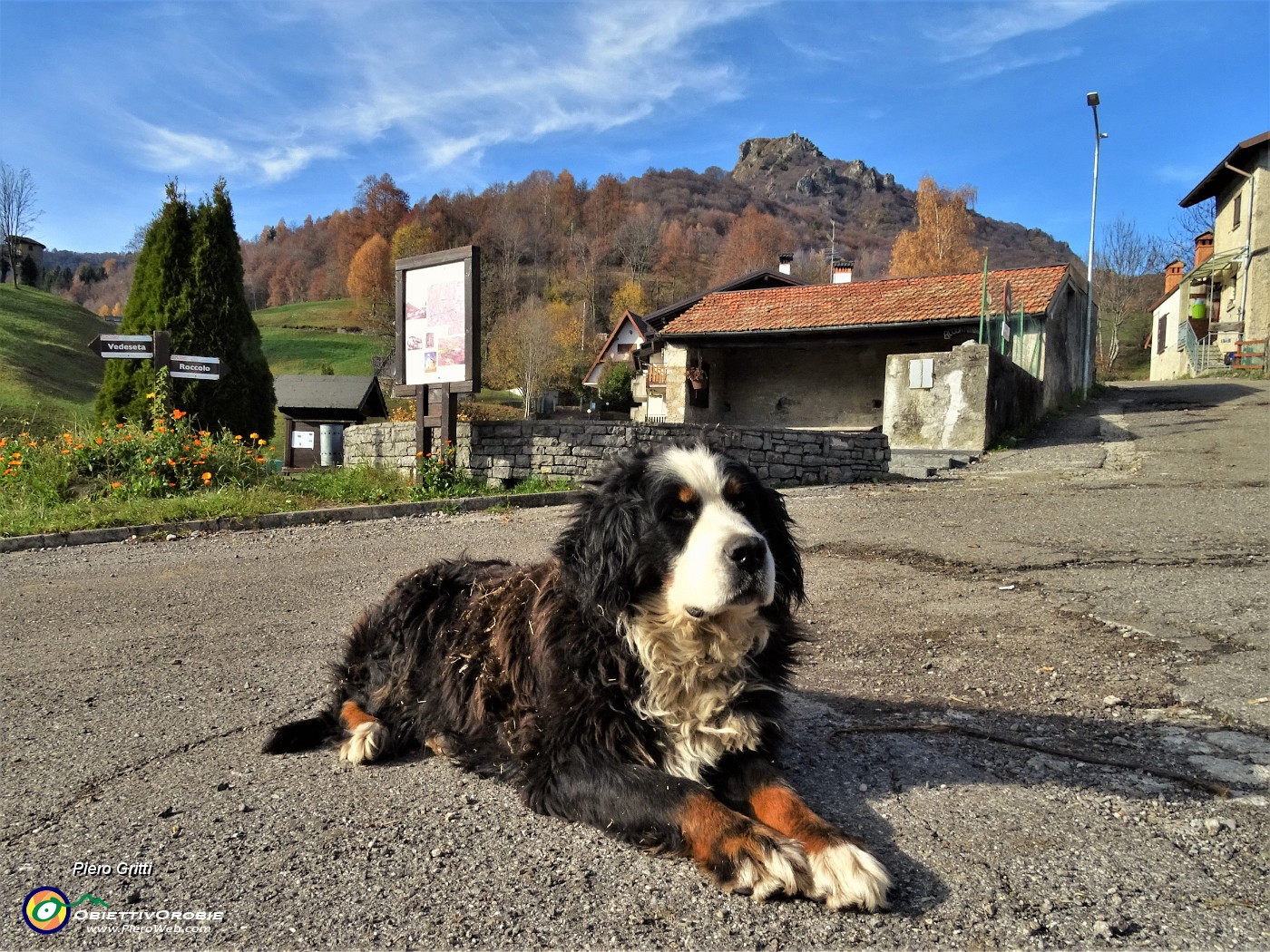 15 La sentinella guardiana di Reggetto in servizio da tanti anni.JPG